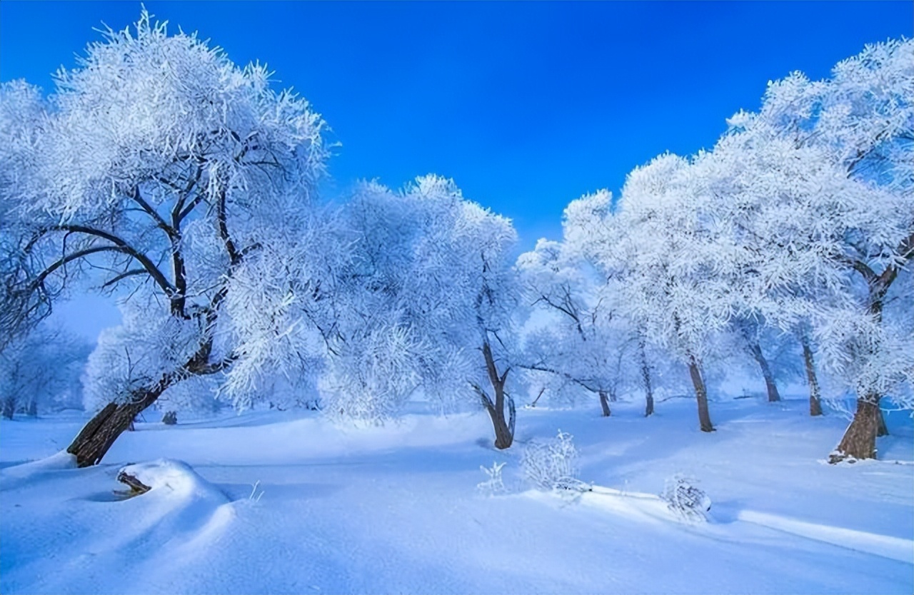 冬天的日本旅游景点（你知道，东北的冬天哪些地方最好玩吗？）