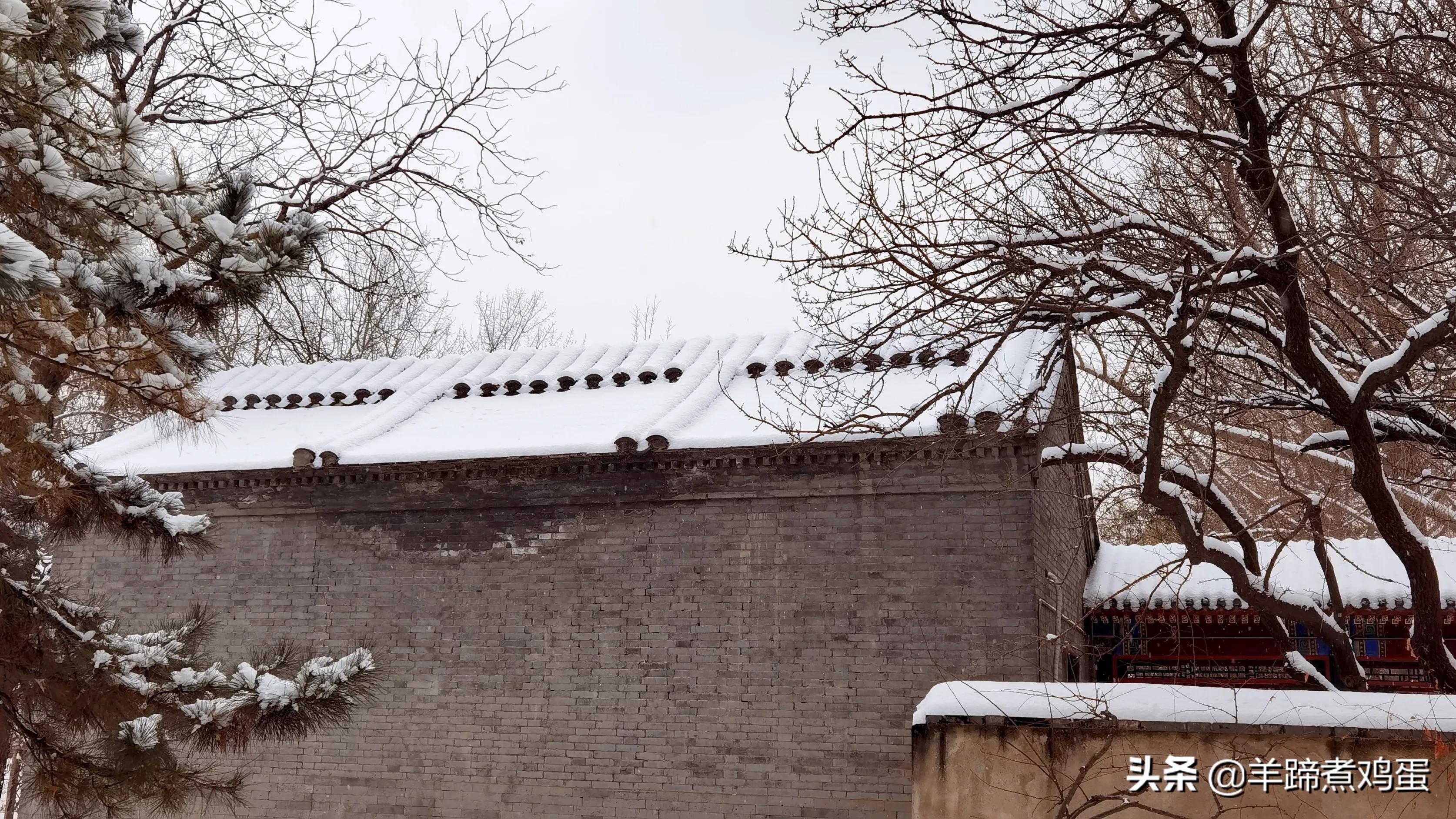 难览观园全画景雪覆腊梅一隅香——踏雪寻游北京大观园