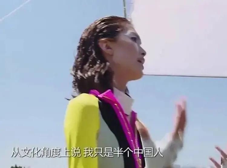 她为什么被骂 滚回去做美国人 因嫌弃自己是中国人，又想回国捞金