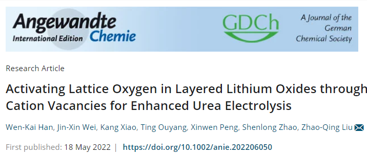 广州大学/悉尼大学｜阳离子空位活化晶格氧助力尿素氧化