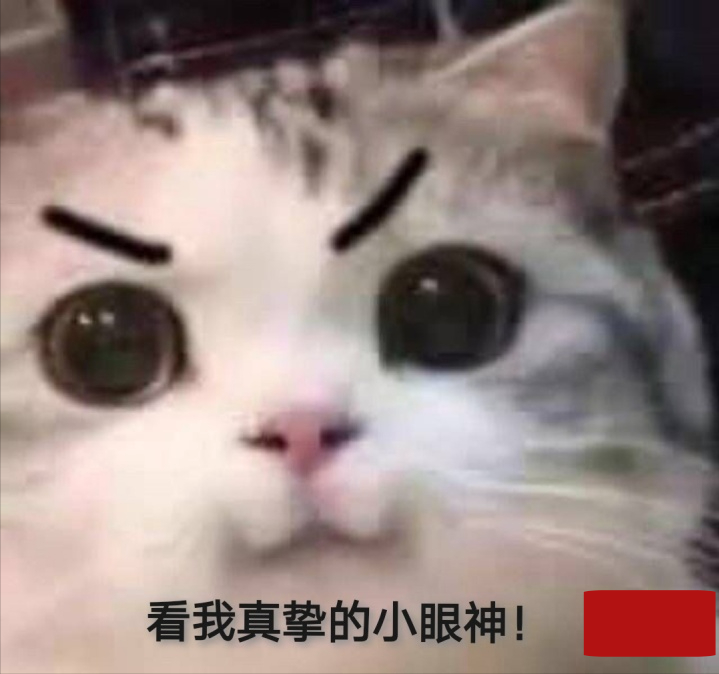 高考前可以逆袭多少分？