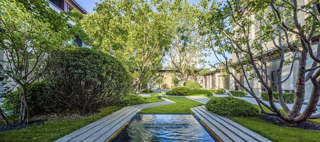 用心的植物搭配，超级美