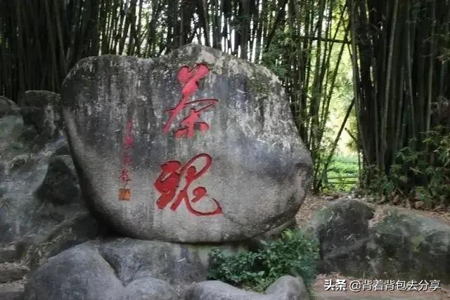 福建武夷山，山水茶韵，武夷仙境，这篇文章，让你如何玩转武夷山