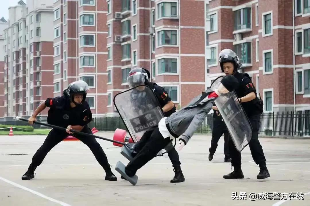 威海交通违章查询,威海交通违章查询官方网站