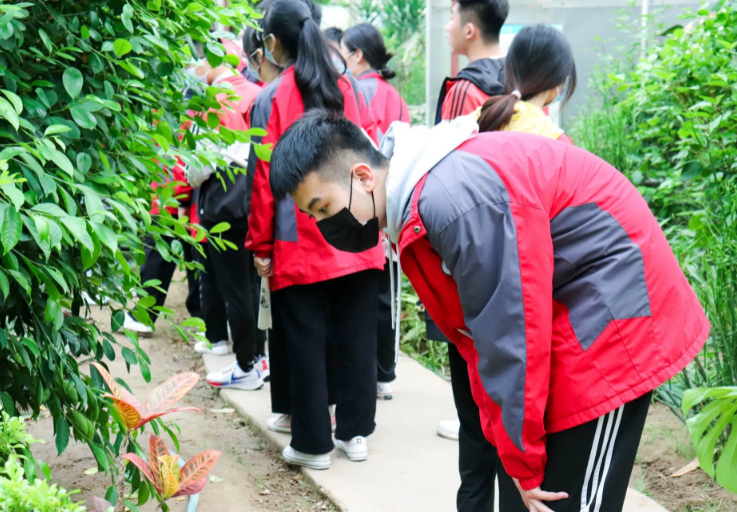 就餐也要鸦雀无声？河南某中学校规引热议，家长看后直言太压抑