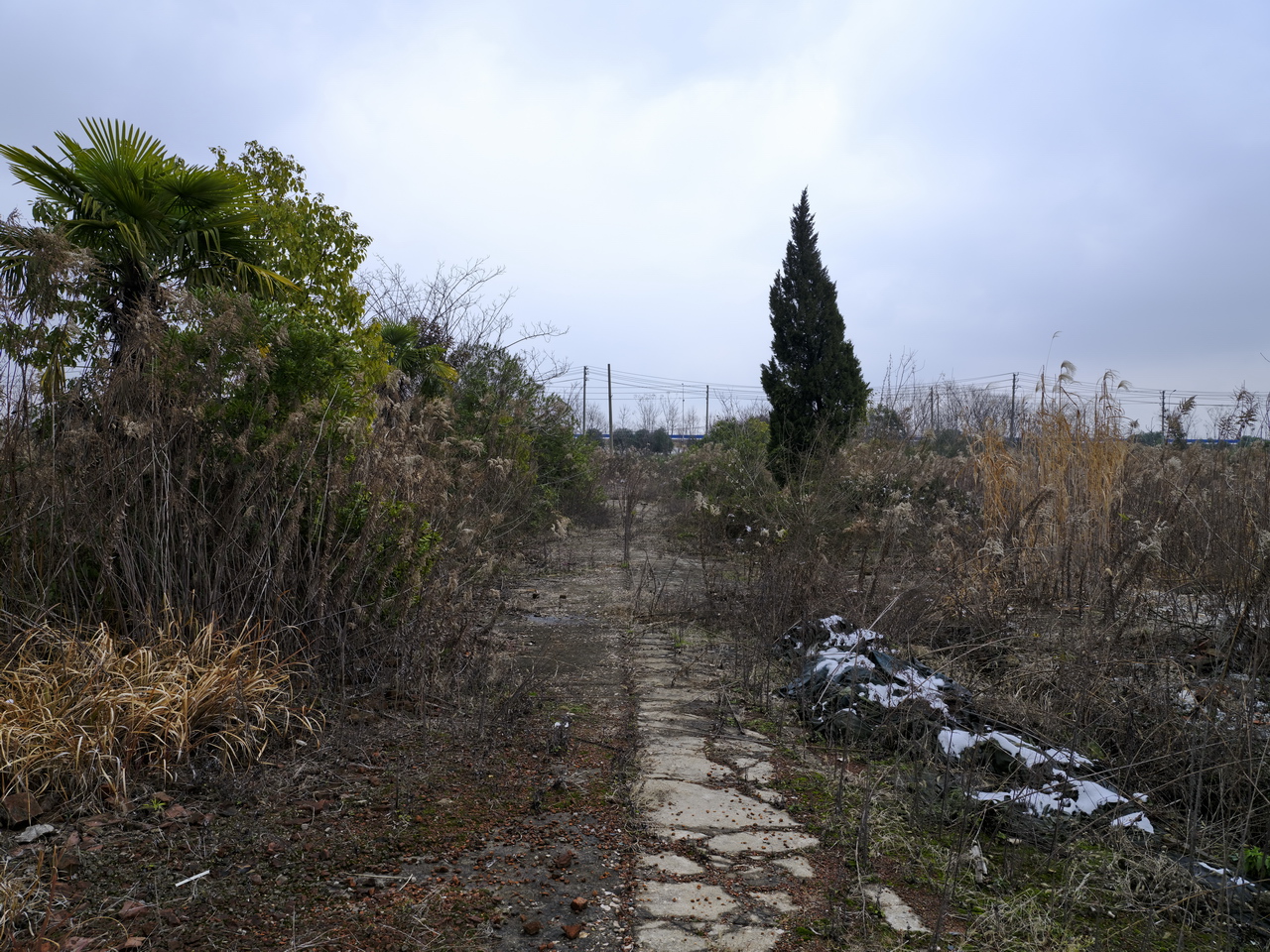 武汉市汉南化工总厂拆除后的影像