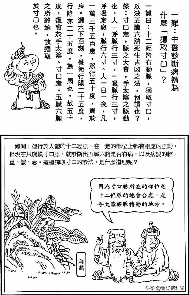 《漫画版·八十一难经》第一难：中医诊脉为何"独取寸口"？