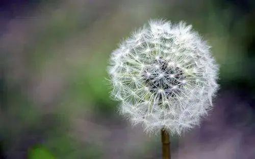 祝福朋友的话语 暖心简短（精选71句）