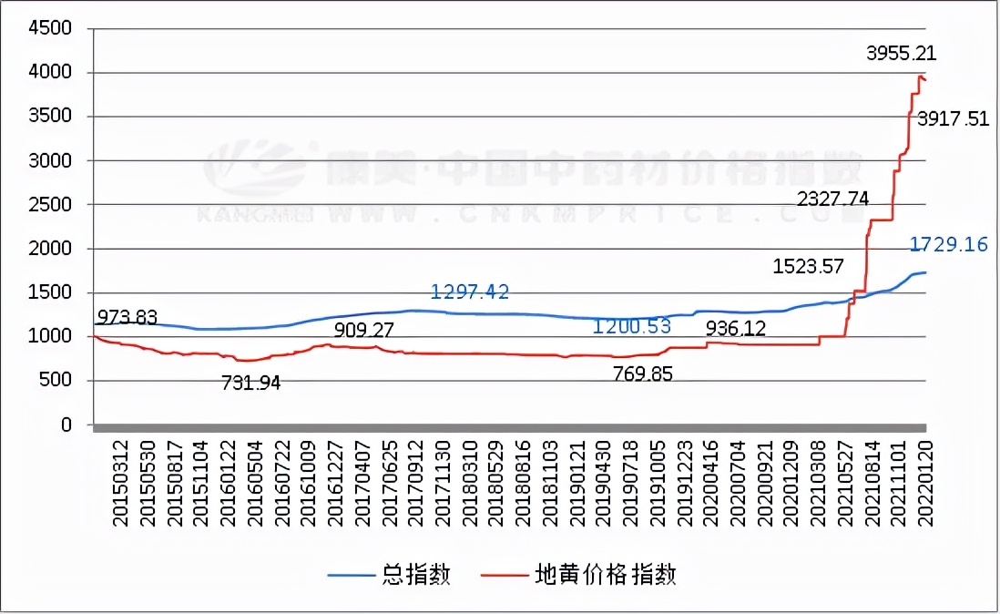 地黄价格高企，后市将如何走动？