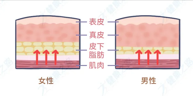 女人手脚冰凉怎么办？常吃这几样食物，暖身又养生