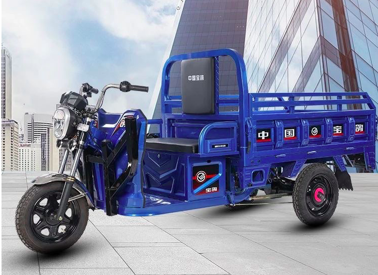 宝鸽是天津一个专门生产三轮车的品牌,虽然名气不高,但是凭借高性价比