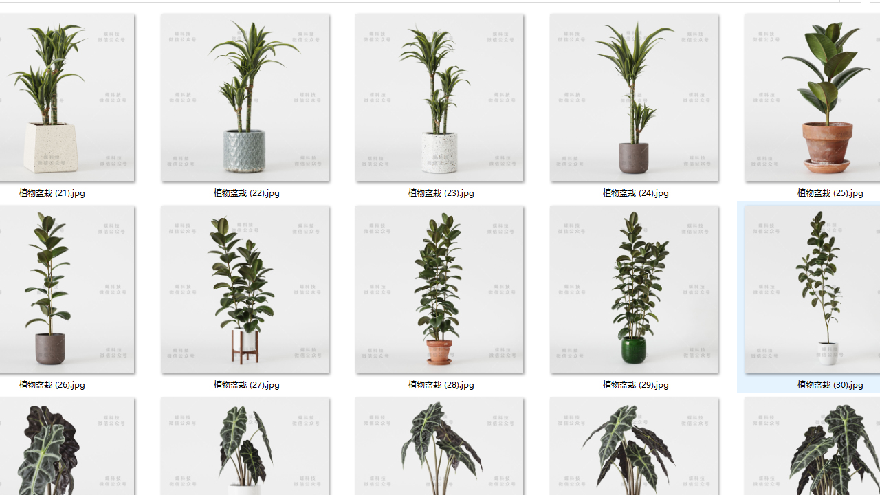 高质量3D植物库下载