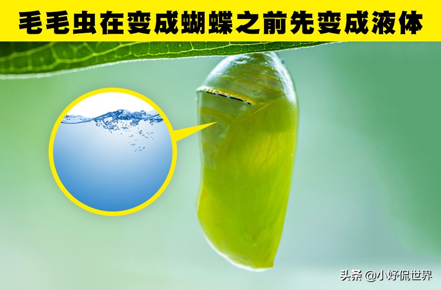 那些学校没教过的事（学校可能没有教过你）