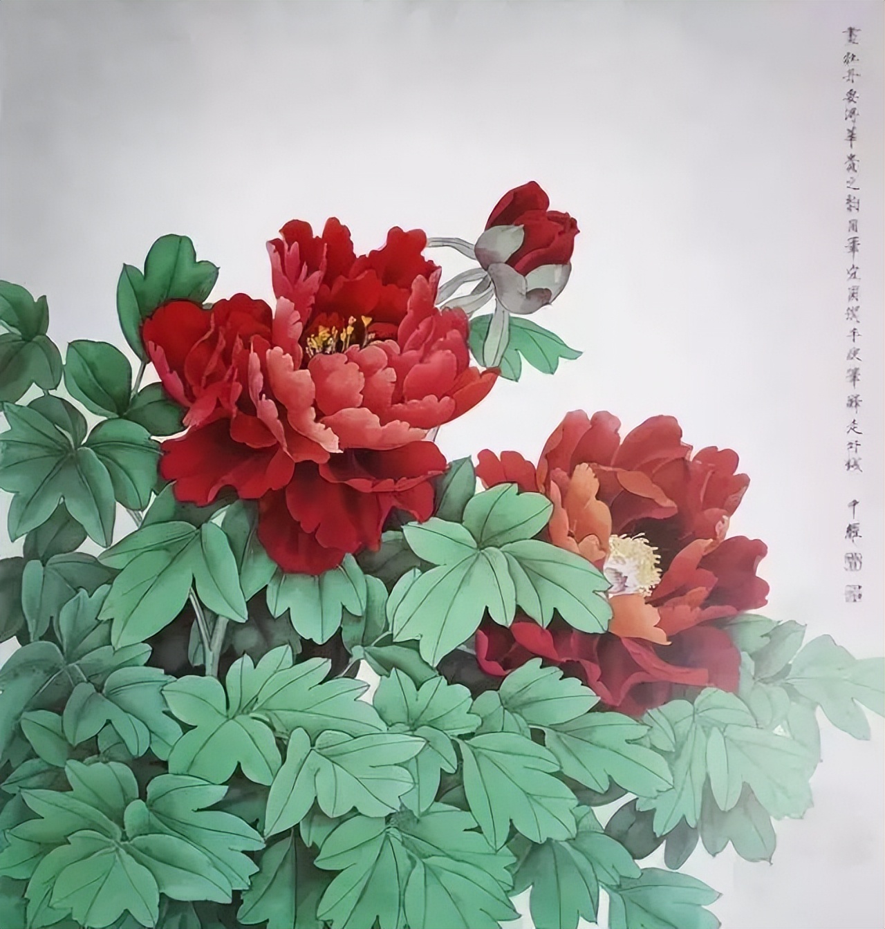 国画牡丹180幅,不愧花中之王,难得一见