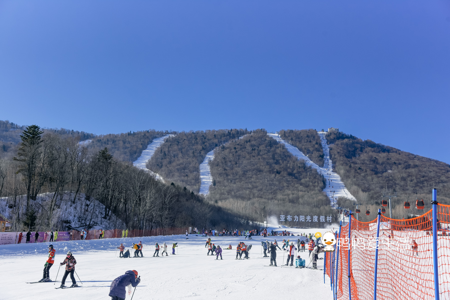 哈尔滨能滑雪吗(冬奥促进冰雪旅游，来哈尔滨看冰雕玩滑雪，过瘾)