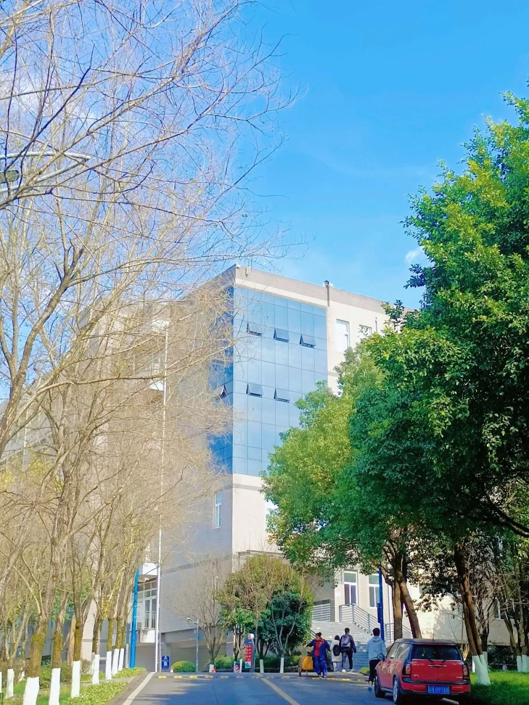 师资“高配”！就业广阔！重庆3位保研学霸，硬核安利“宝藏”专业！