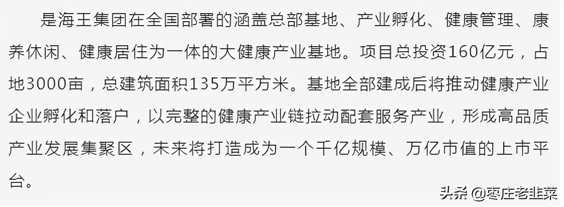 重大突破！投资160亿健康产业基地及3000亩海王小镇落地枣庄