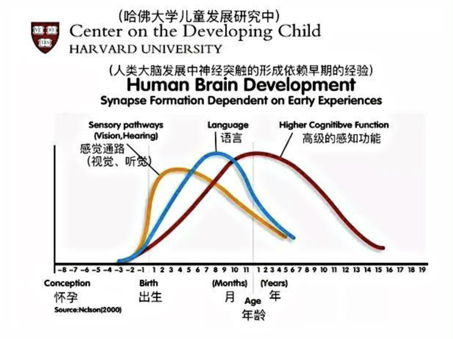 孩子小学优秀，初中成绩却下滑，13岁前父母别在这件事上偷懒