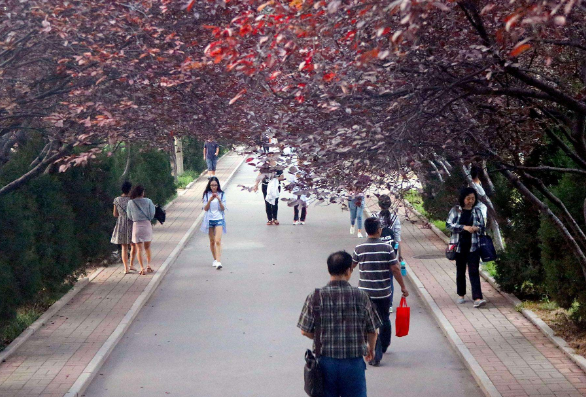 浙江信息工程学校校花（浙大美女留学生走红）