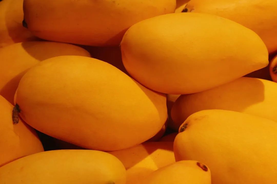 如何挑选符合自己口味的芒果？