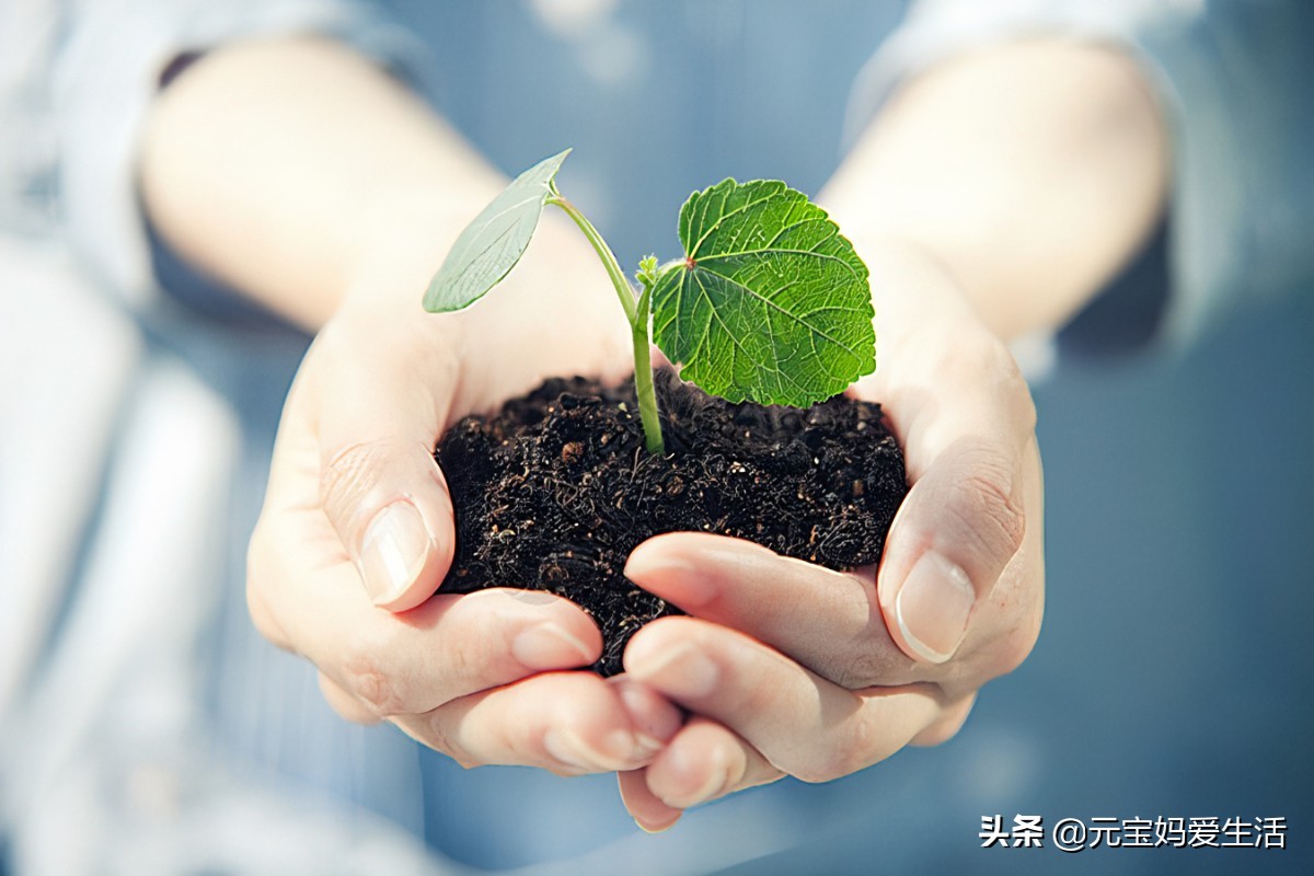 看见死去的人会怎样(入殓师为逝者整理遗容时，家属可以在一旁观看吗？为什么？)