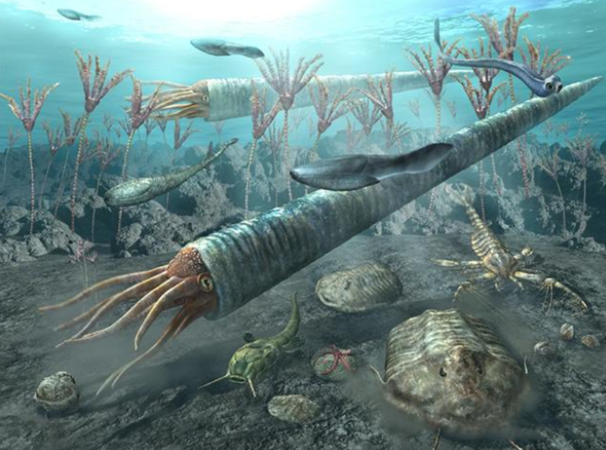 恐怖的"巨虫时代":两米四的"蜈蚣",蜻蜓大得像老鹰