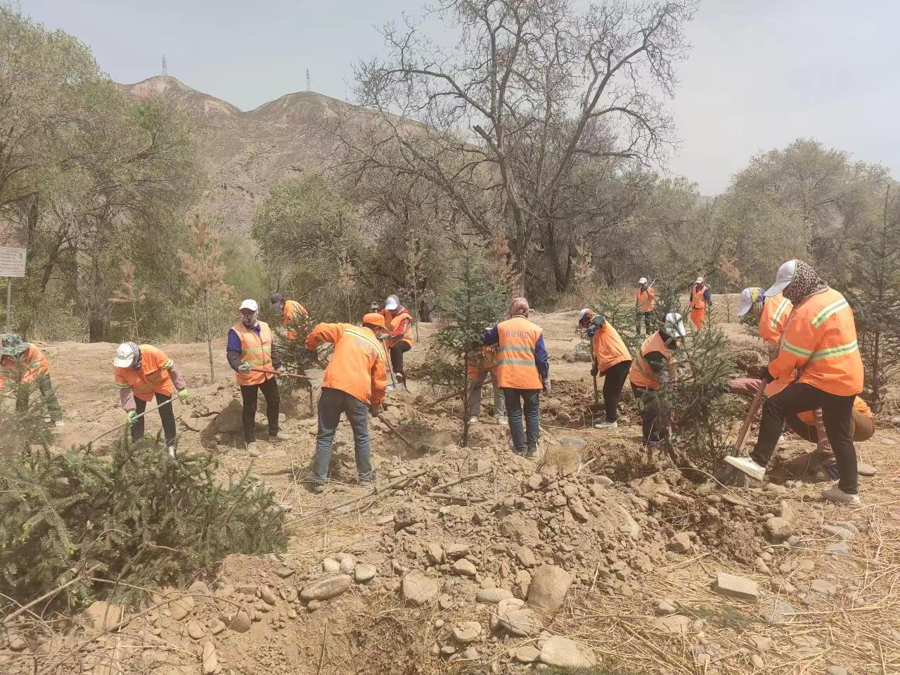 西固区新城镇念好“四字诀”助力乡村“颜值”再提升