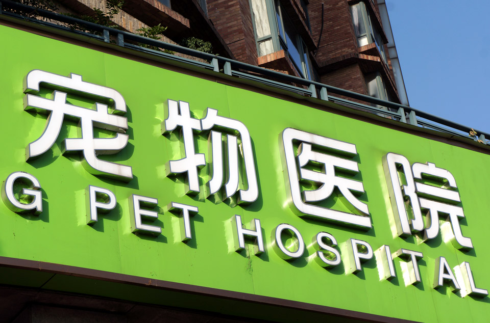 “像开奶茶店一样开宠物医院”宠物看病为何又贵又难？