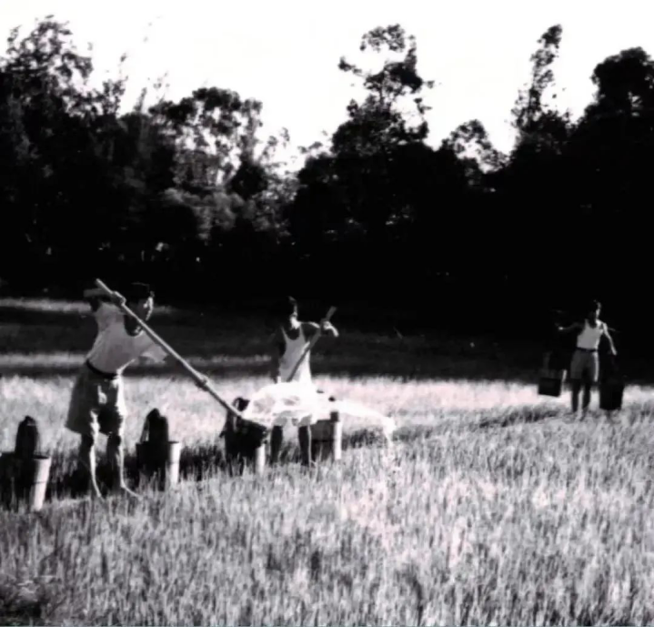 院士坐镇！成果创“世界首次”！揭秘中山大学这一“硬核”学院