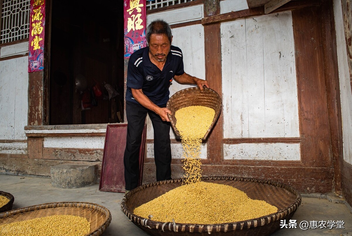 现在大豆市场价格多少钱一斤？附：2022下半年大豆价格行情分析