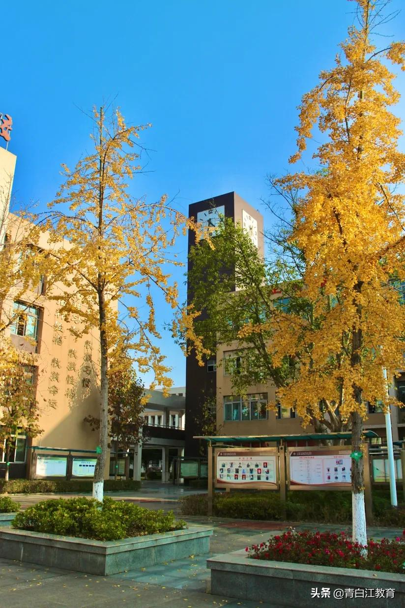 秋冬美图来袭① | 为你喜欢的校园美景投票吧