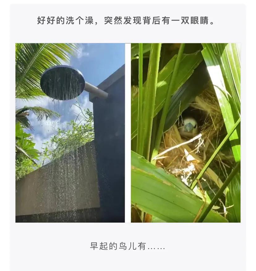 神评段子合集：准备拜访老丈人，提这些礼品过去一定会夸我懂事