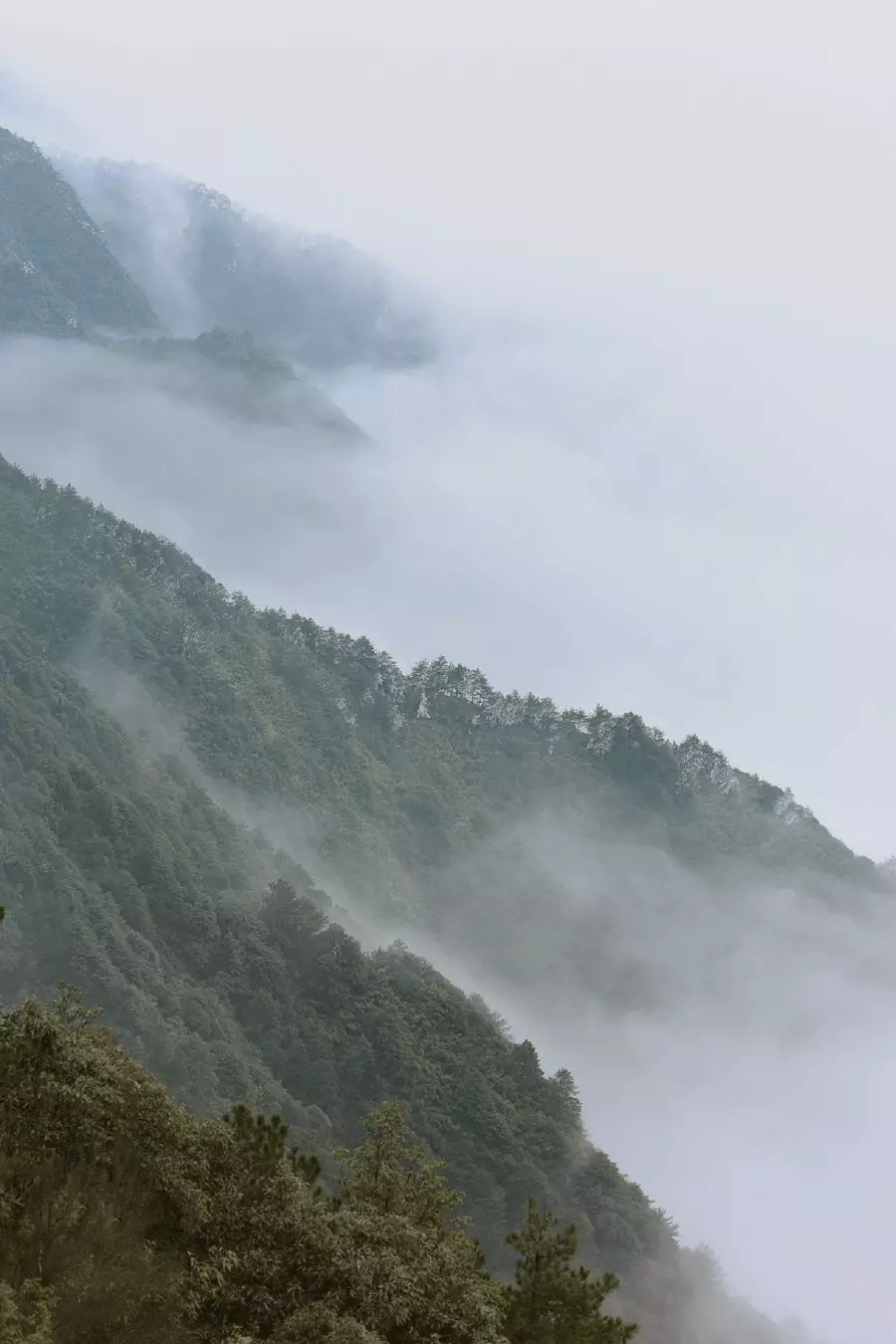 山居,生活本来的样子