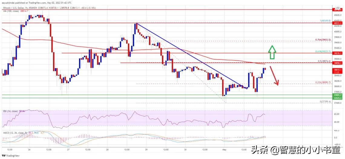 比特币在 39,000 美元以下盘整：什么可能引发另一次下跌