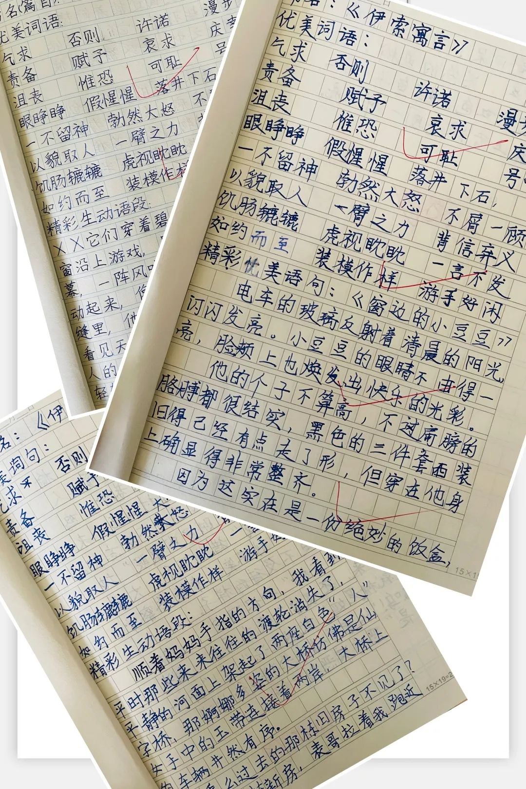 腹有诗书气自华，最是书香能致远｜走进双流区棠湖小学三年级八班