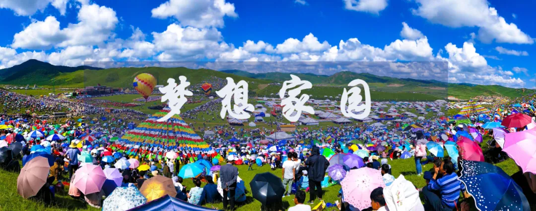 请回答,甘南2025!