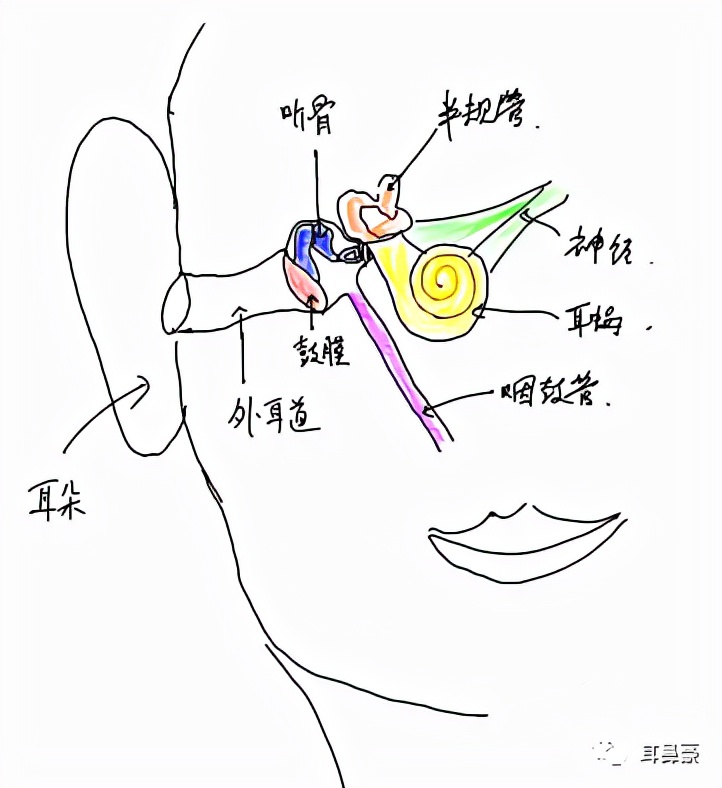 【爱耳日系列科普之中耳炎】中耳炎手术