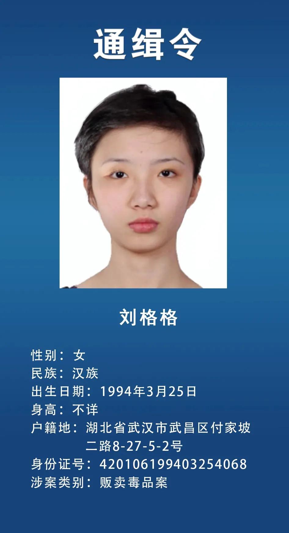 网上通缉犯,网上通缉犯怎么查