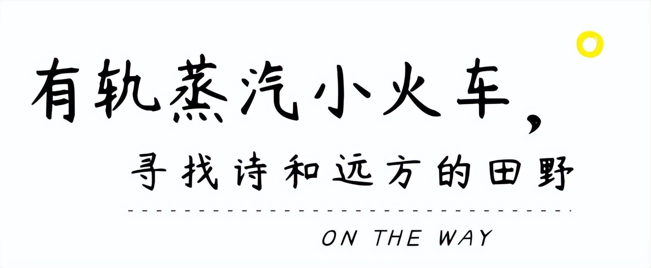 网红森林小火车开放喽！探秘丛林、九大主题景观区...