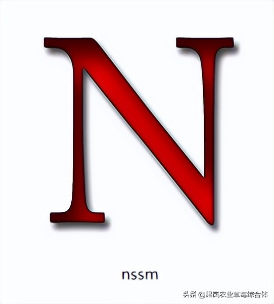 ns注册（nssm）