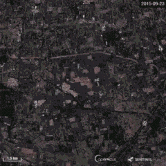 2014世界杯足球赛冠军（卡塔尔世界杯冠军是谁，可能义乌早就知道了）