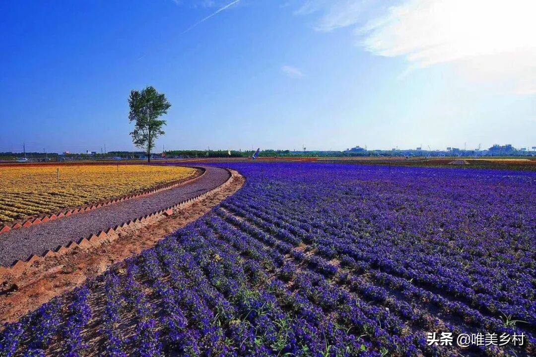 到2025年建设1000家国家级生态农场？五大分区必不可少，这样操盘