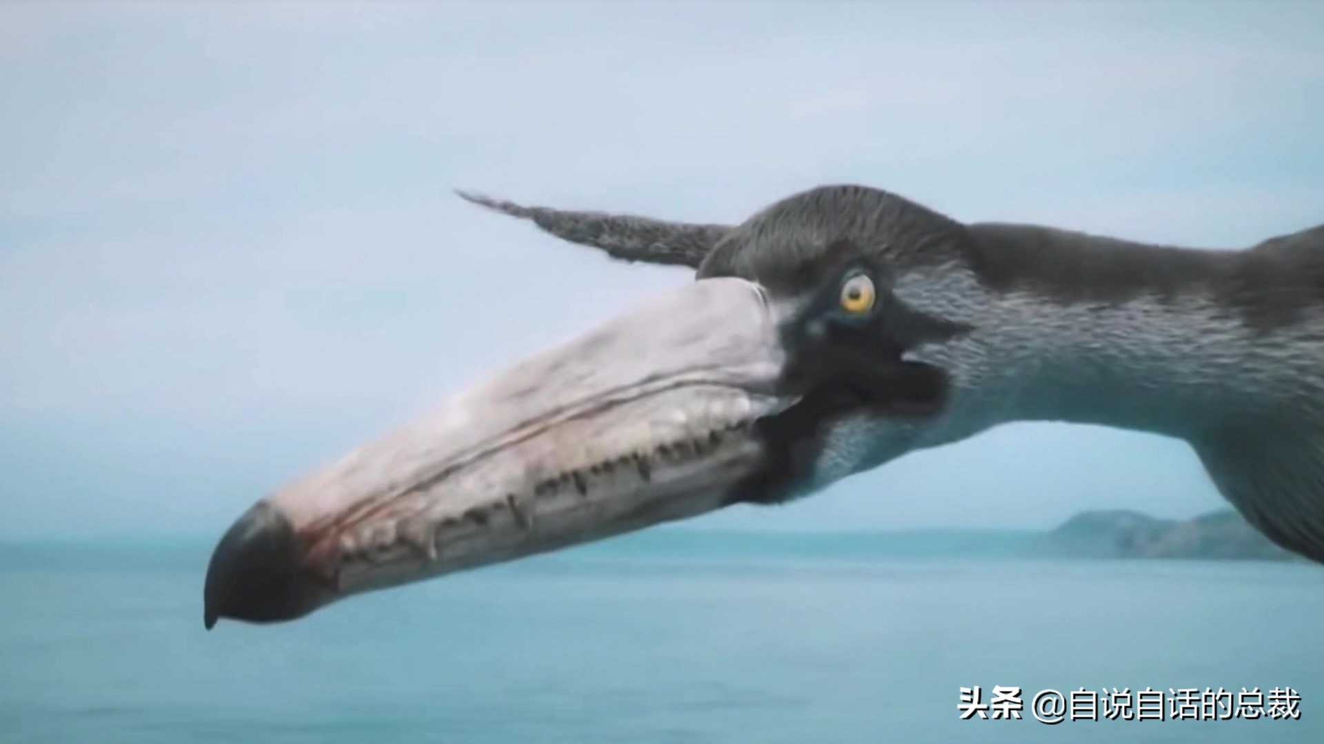 为什么动物都怕鹅？有鹅的地方没有蛇？大鹅的真实面貌超出你想象