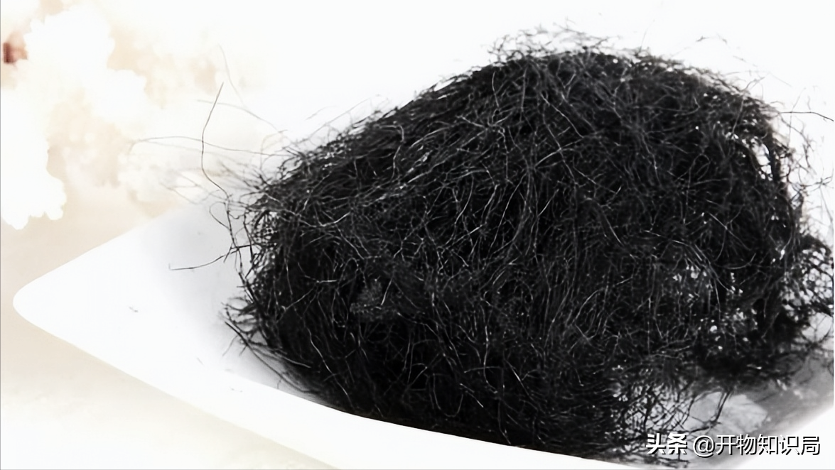 一斤发菜上千元?下雨天才好找到,曾经畅销港澳,如今为何被禁?