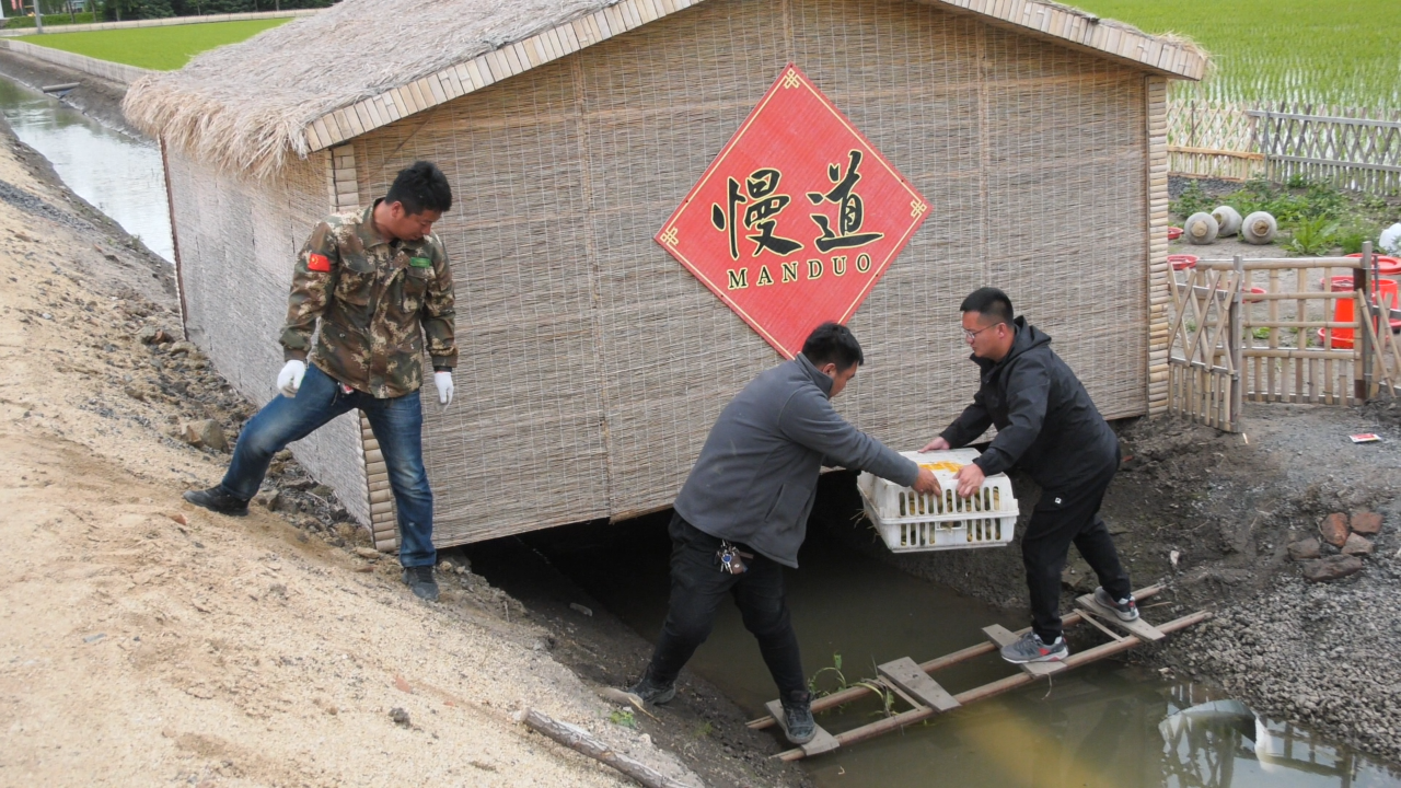 迎来新居民｜慢道“我有三分地”农场第一批居民已到位