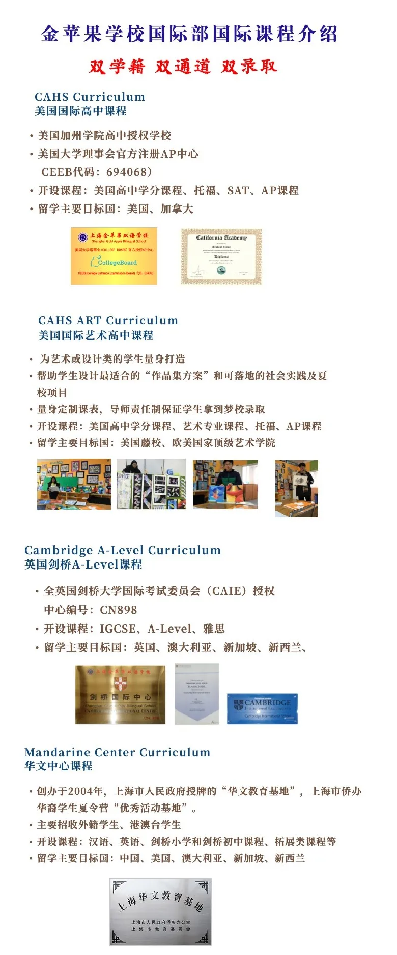 美高+AP、A Level，如何确定哪个课程更适合孩子？