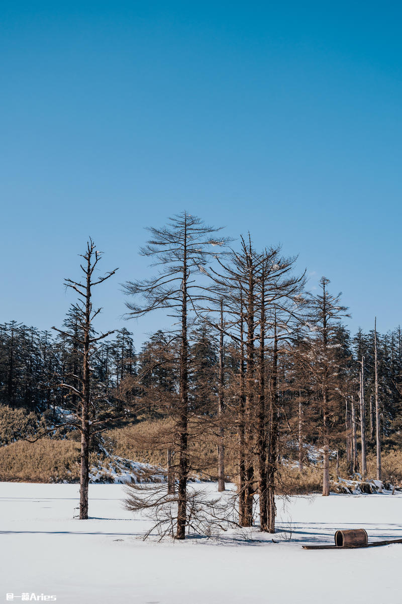 成都周边游 | 川西的雪国秘境，我与瓦屋山的纯白约定
