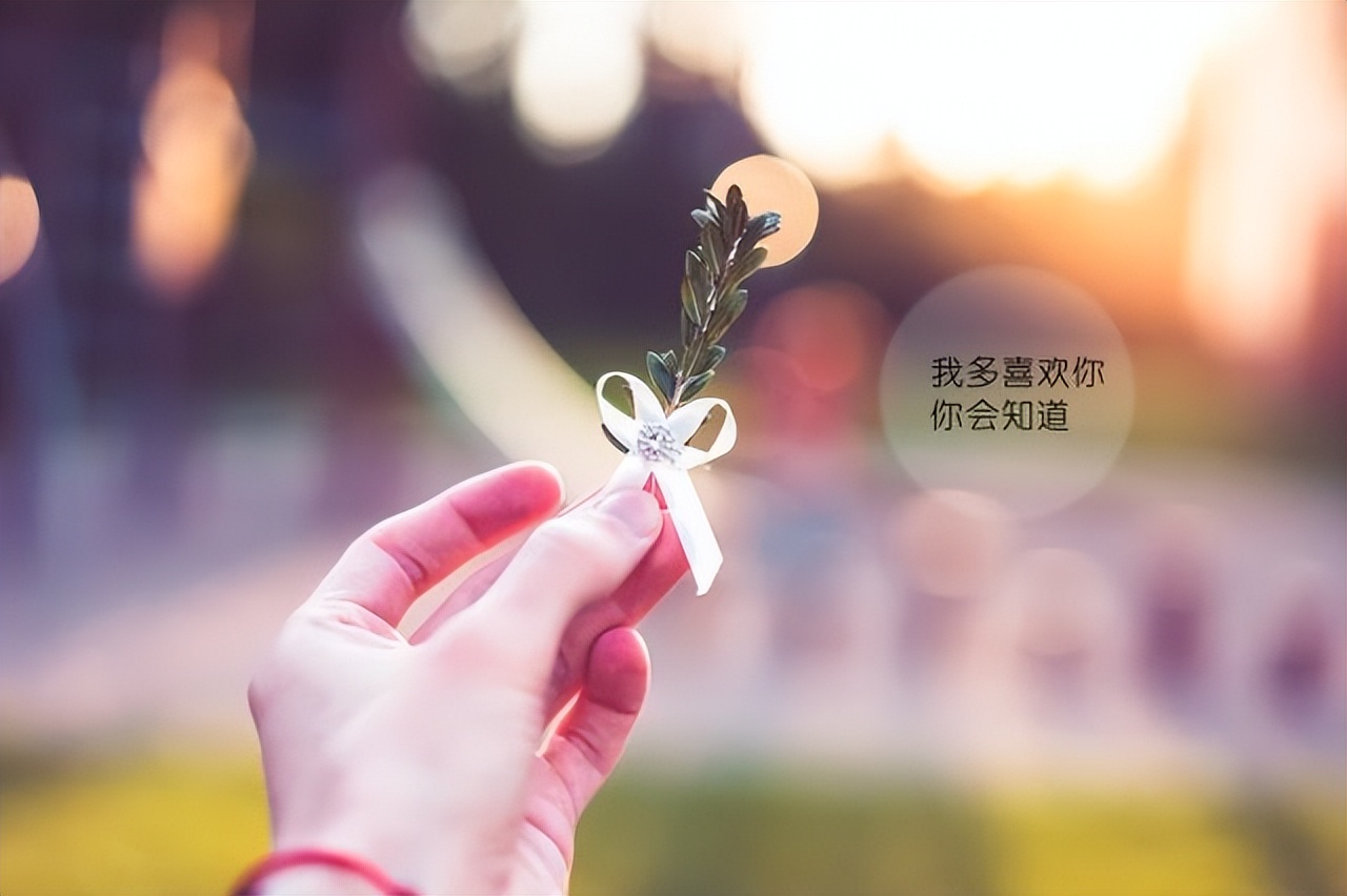 关于爱情的句子唯美短句,句句浪漫甜蜜暖心,深爱过的人都懂