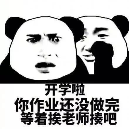 适合开学发的沙雕文案