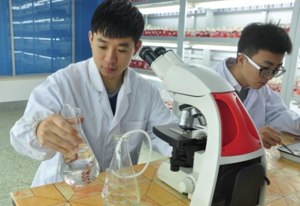 本科生和研究生的差别有多大？过来人用图片诠释，网友直呼太形象